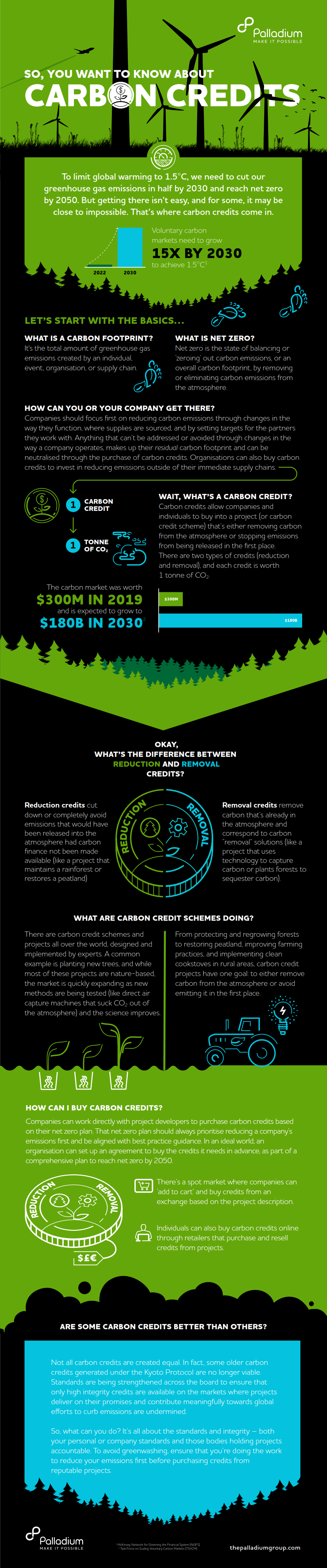 palladium-so-you-want-to-know-about-carbon-credits