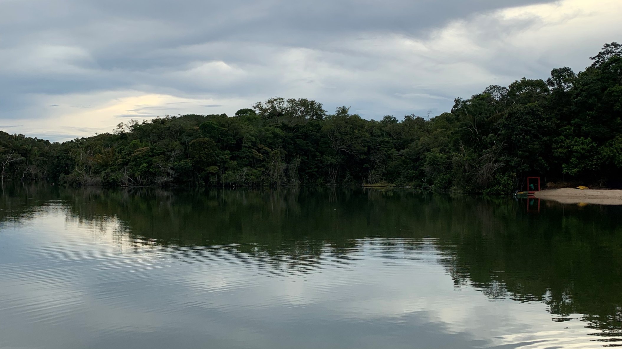 Palladium - “There’s a Reality in the Middle”: My Trip to the Amazon ...